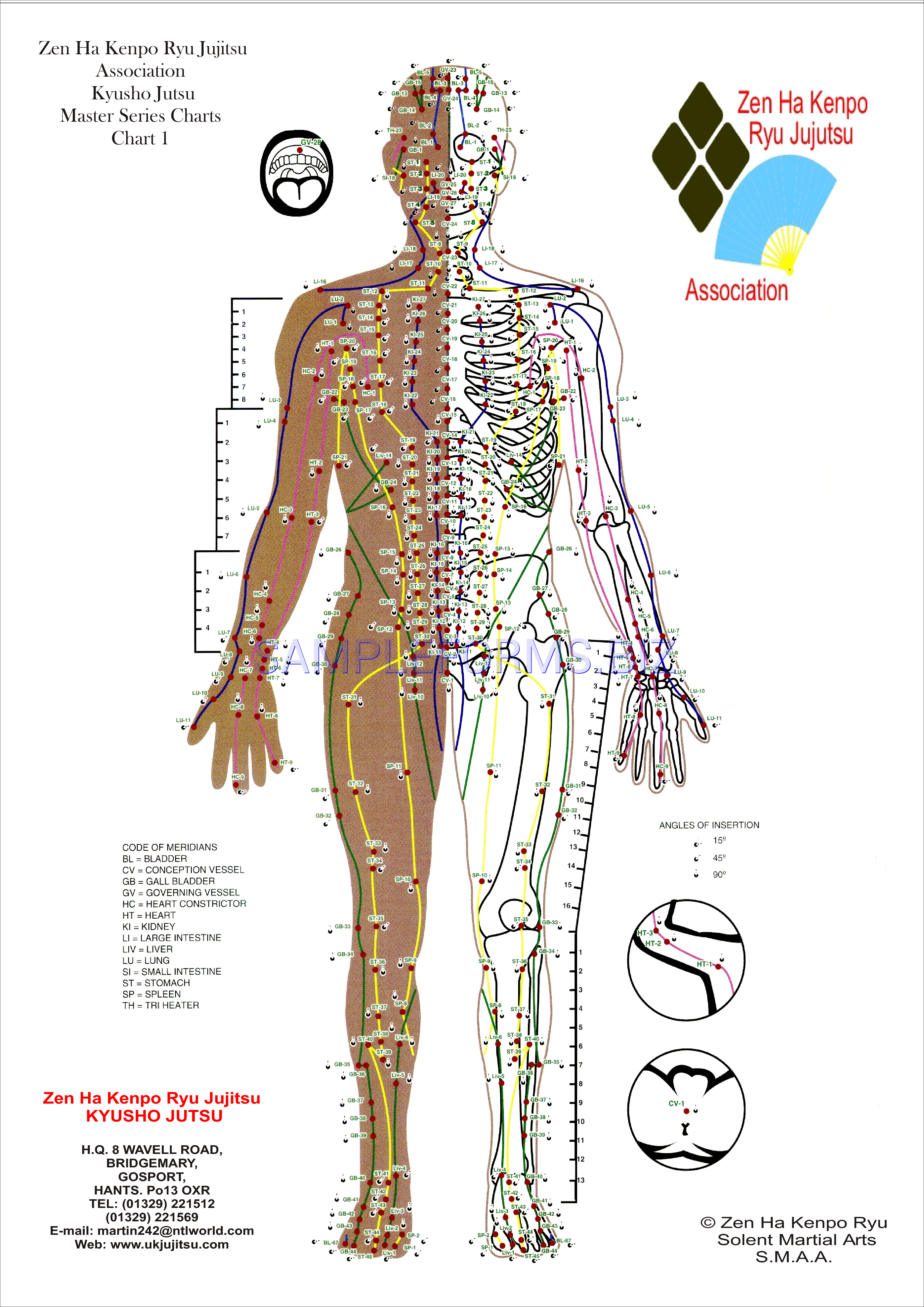 Preview free downloadable Pressure Point Chart 1 in PDF (page 1)