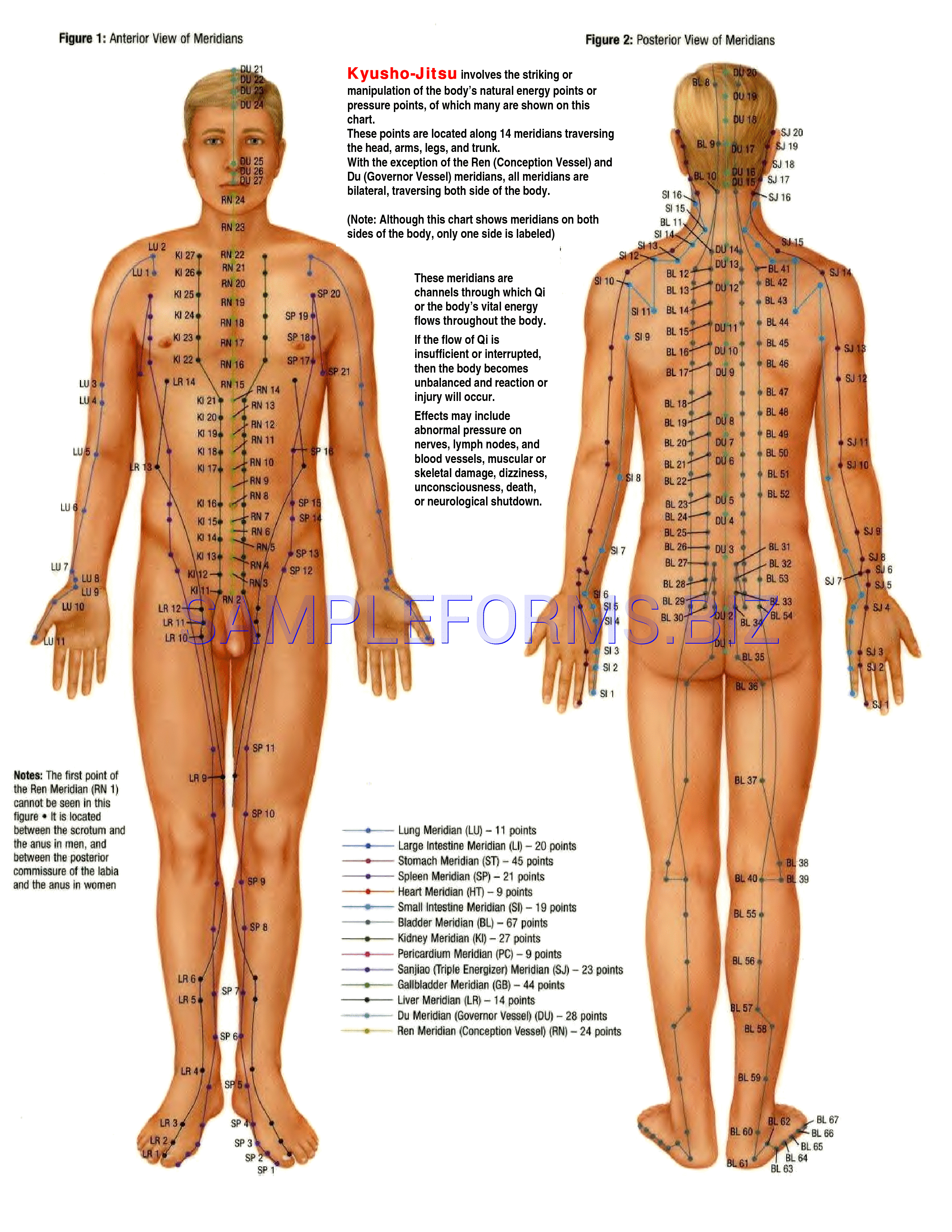 Preview free downloadable Pressure Point Chart 2 in PDF (page 1)